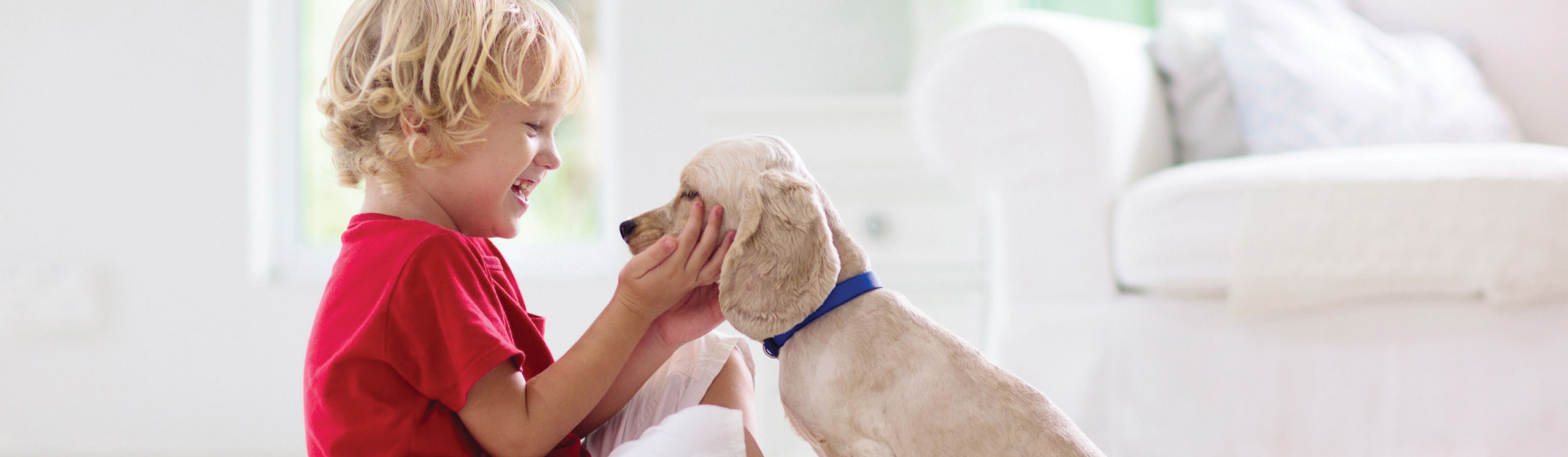 Hammond Pest Control Exterminator Near Me in Hammond